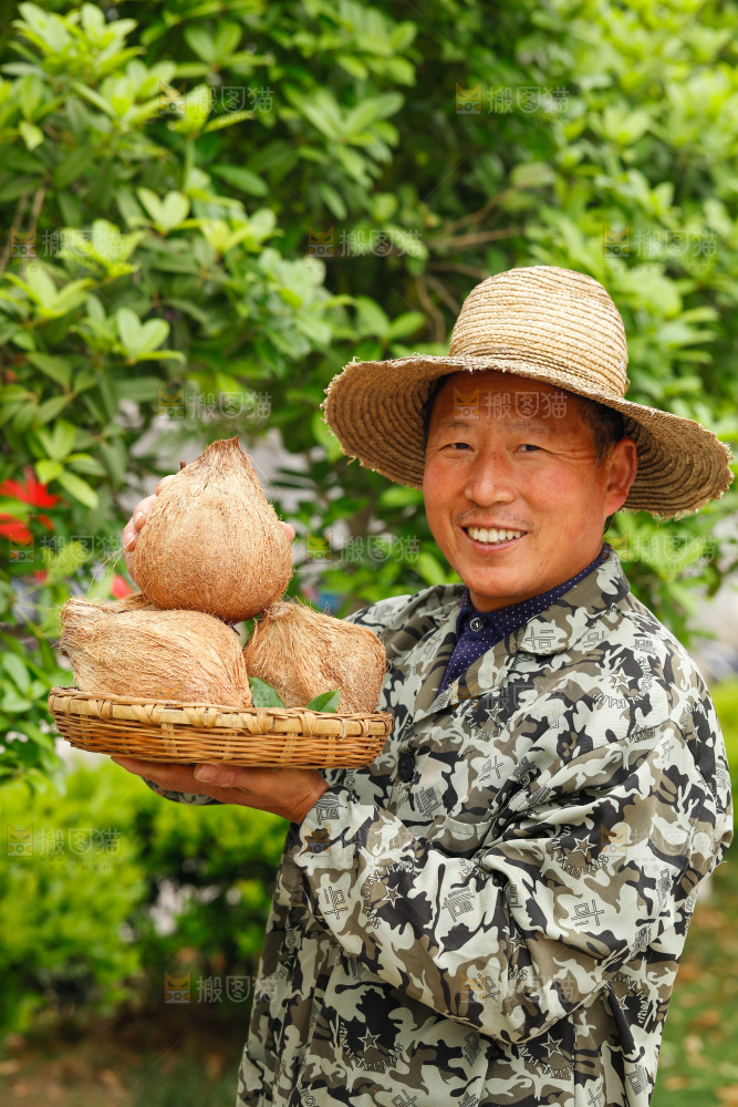 手里端着一篮海南老椰子