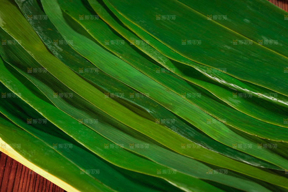新鲜粽叶纹理