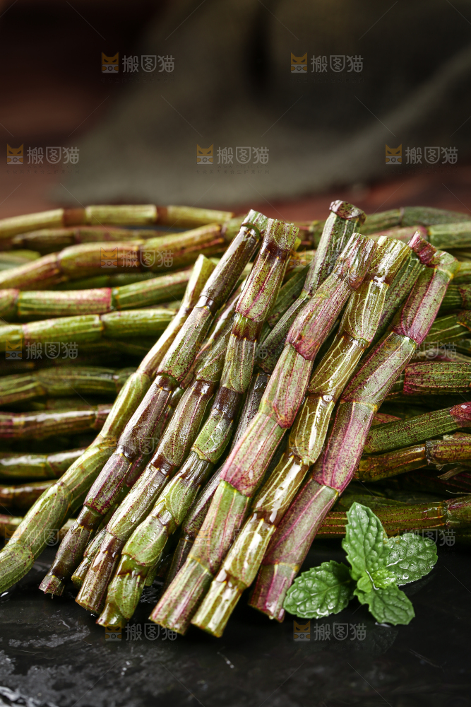 一堆新鲜铁皮石斛