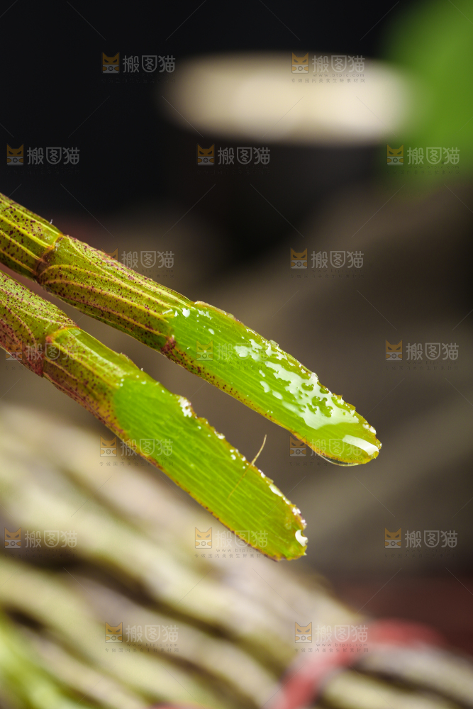 石斛鲜条