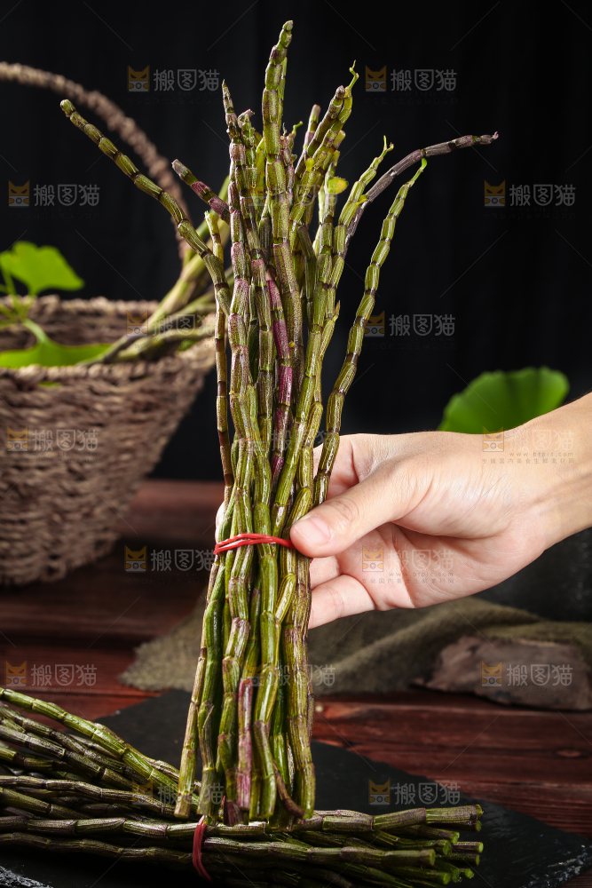 手里拿着云南铁皮石斛