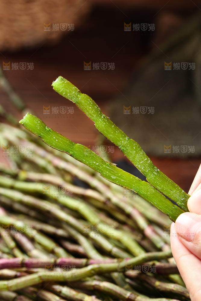 手里拿着石斛鲜条