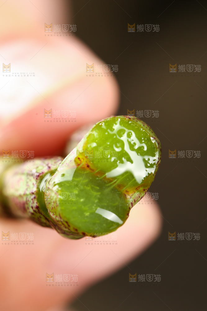 手里拿着石斛鲜条