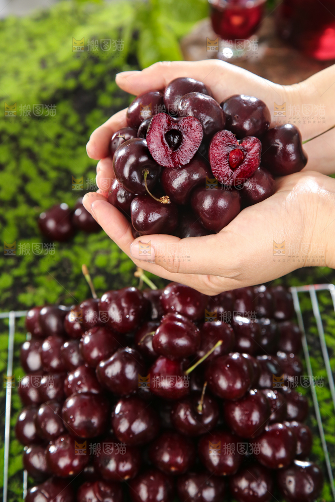 手里捧着进口车厘子