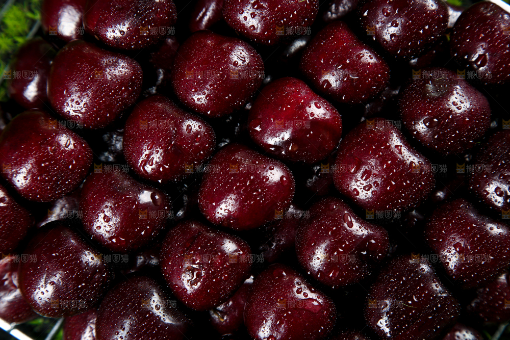 一堆新鲜车厘子