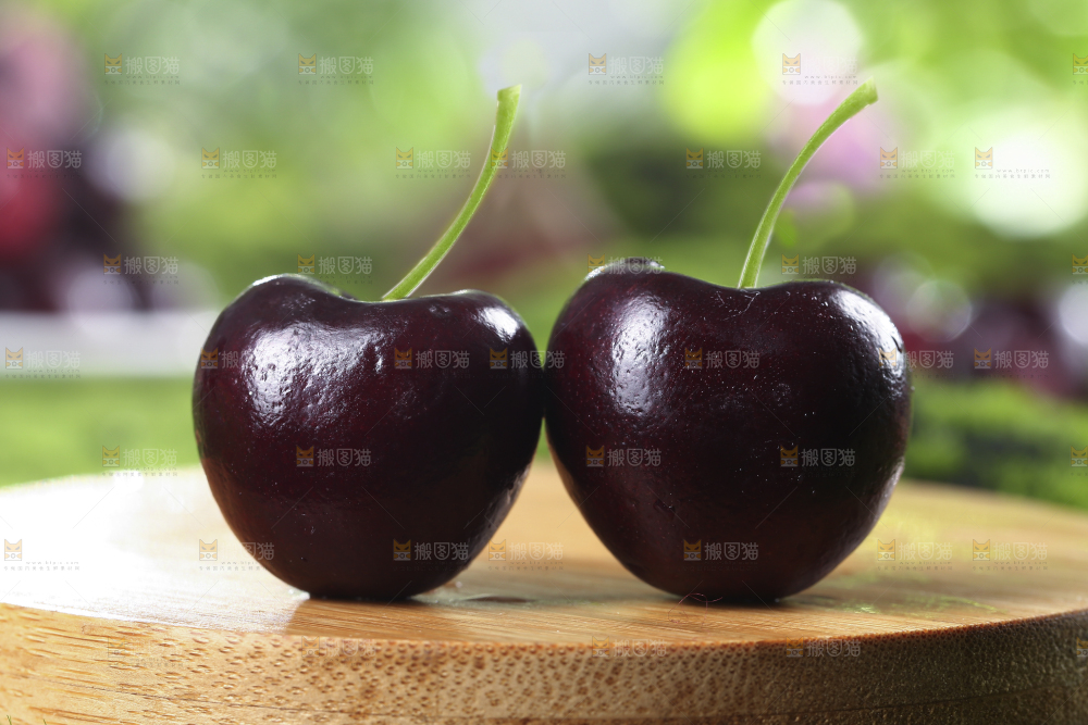 桑提娜车厘子