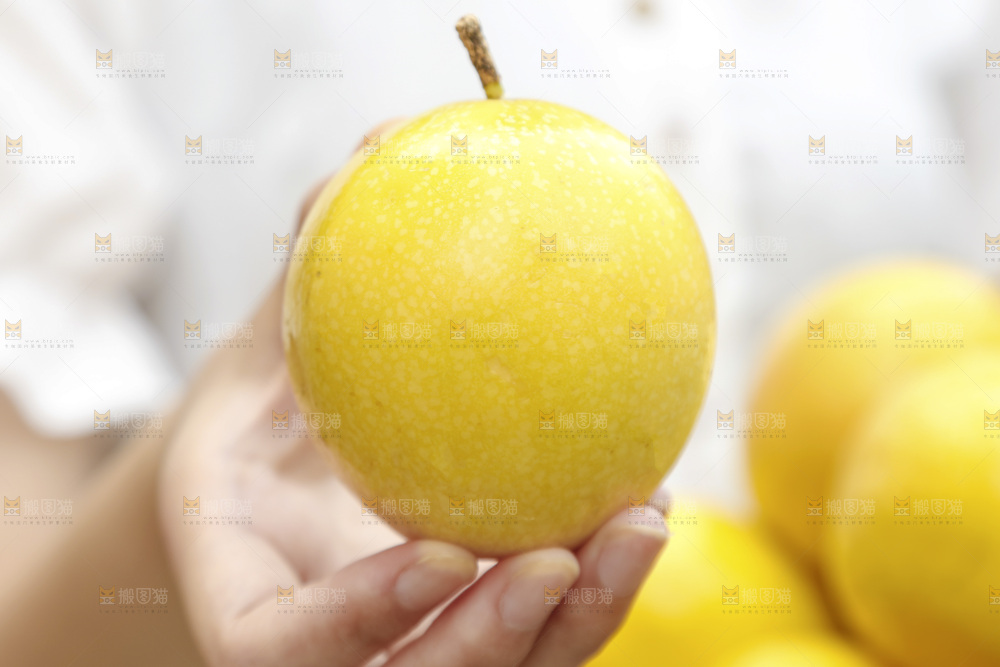 手里拿着黄金百香果