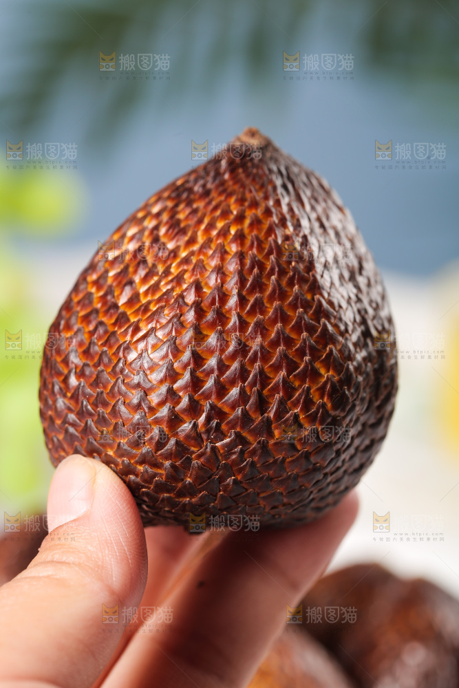 手里拿着新鲜蛇皮果