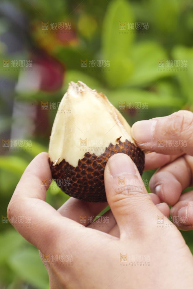 手剥新鲜印尼蛇皮果