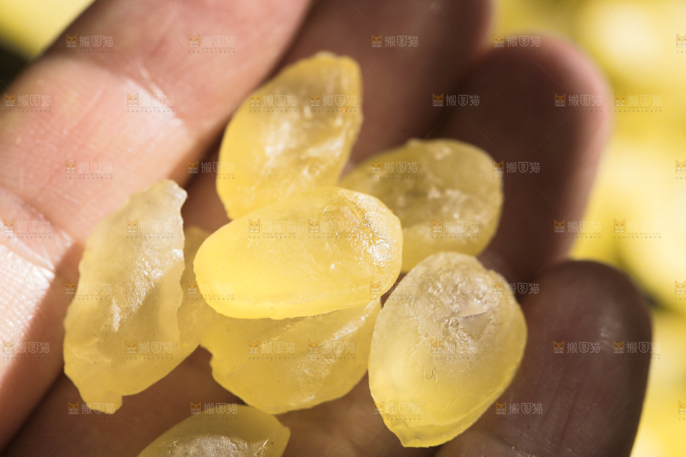 手里拿着皂角米