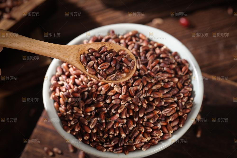 勺子上舀着黑小麦米