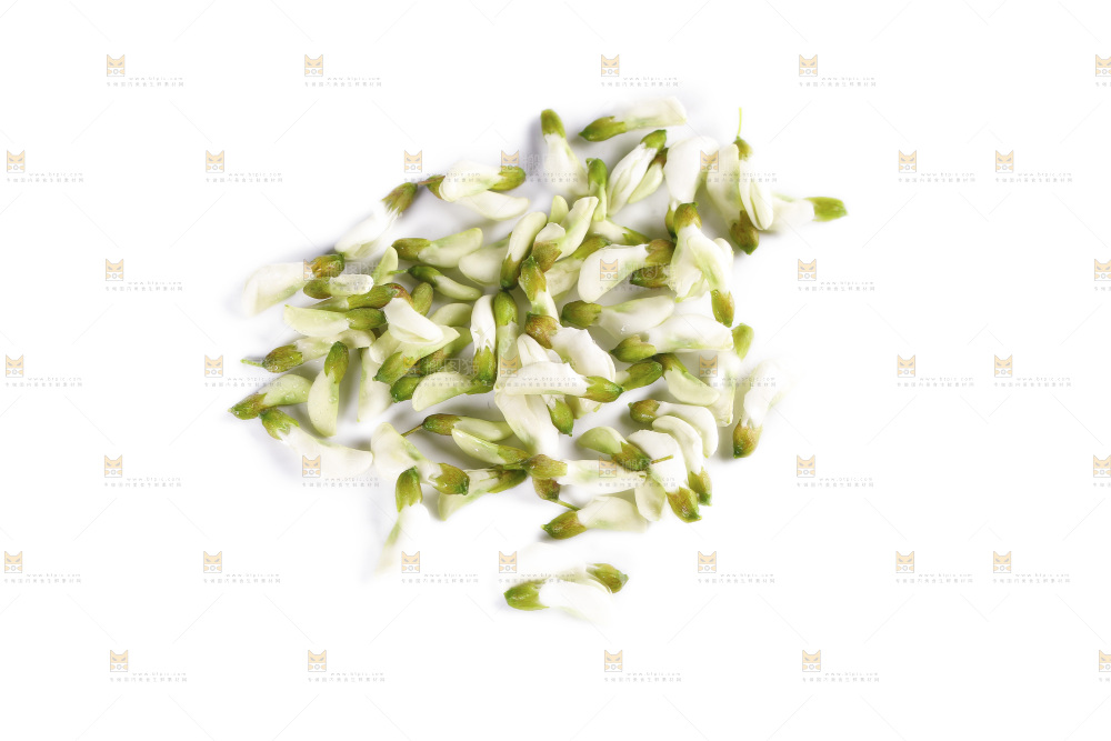 白底上放着洋槐花