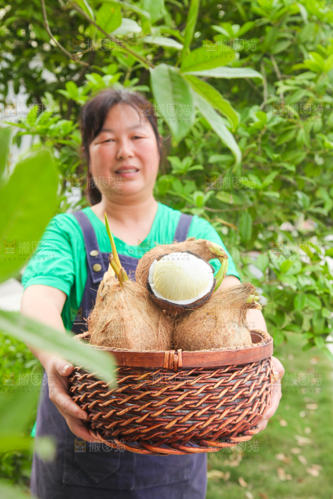 女人手里端着一篮椰宝