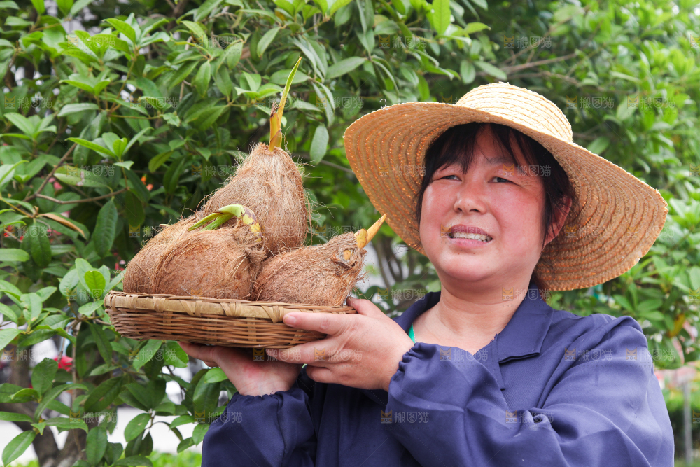 女人手里端着一篮海南椰宝