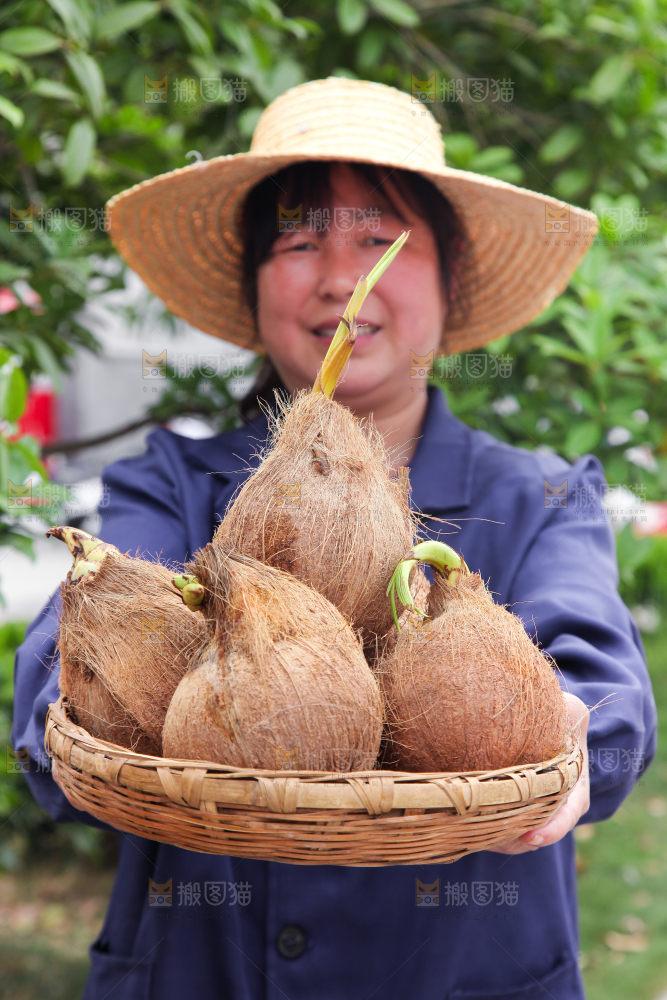 女人手里端着一篮海南椰宝