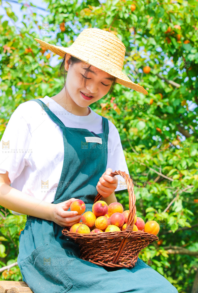 小红杏