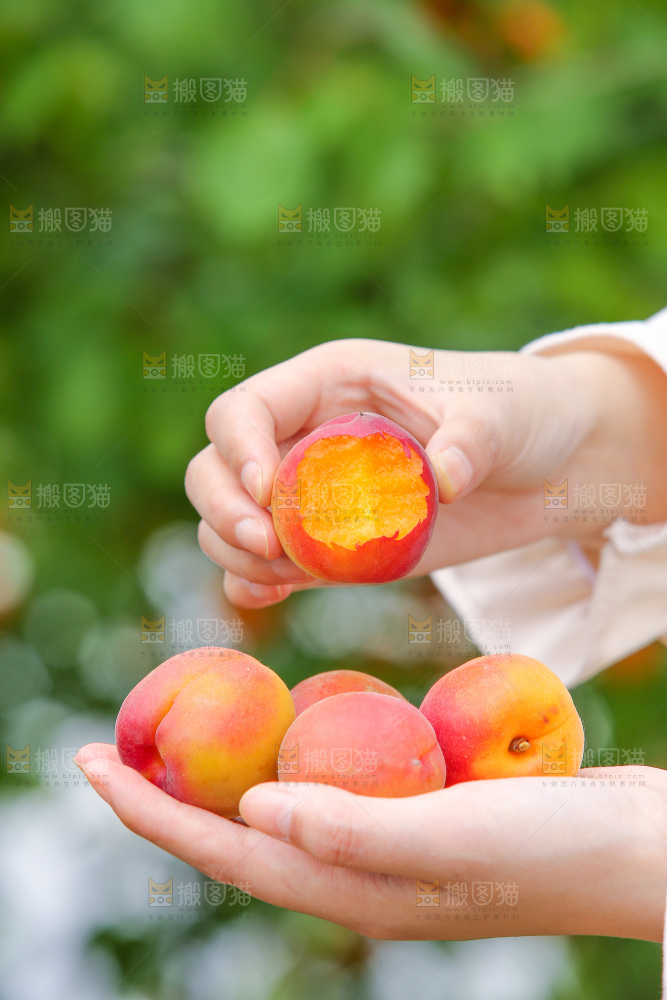 小红杏