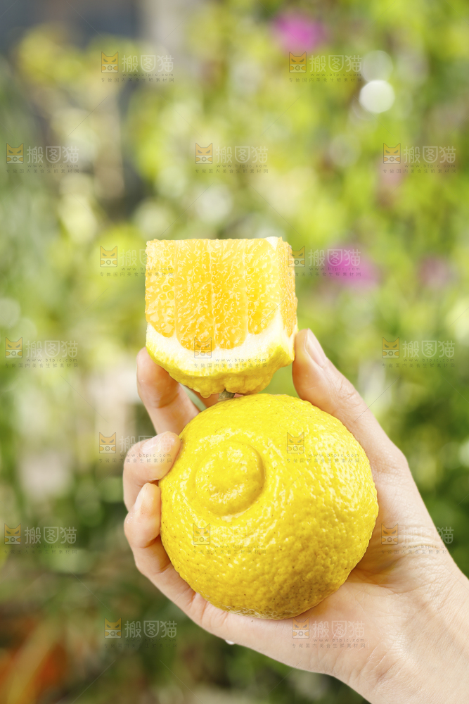 手里拿着湖南黄金贡柚