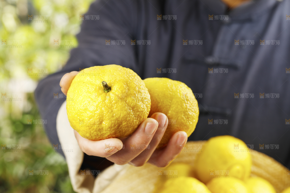 手里拿着贡柚