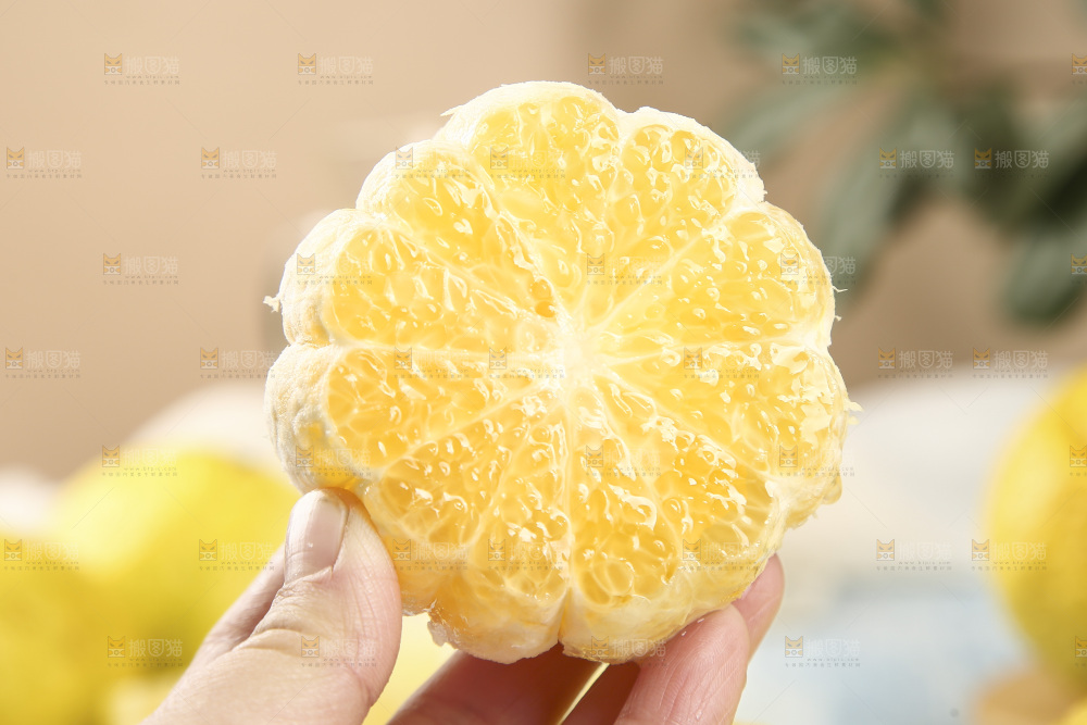 手里拿着贡柚果肉