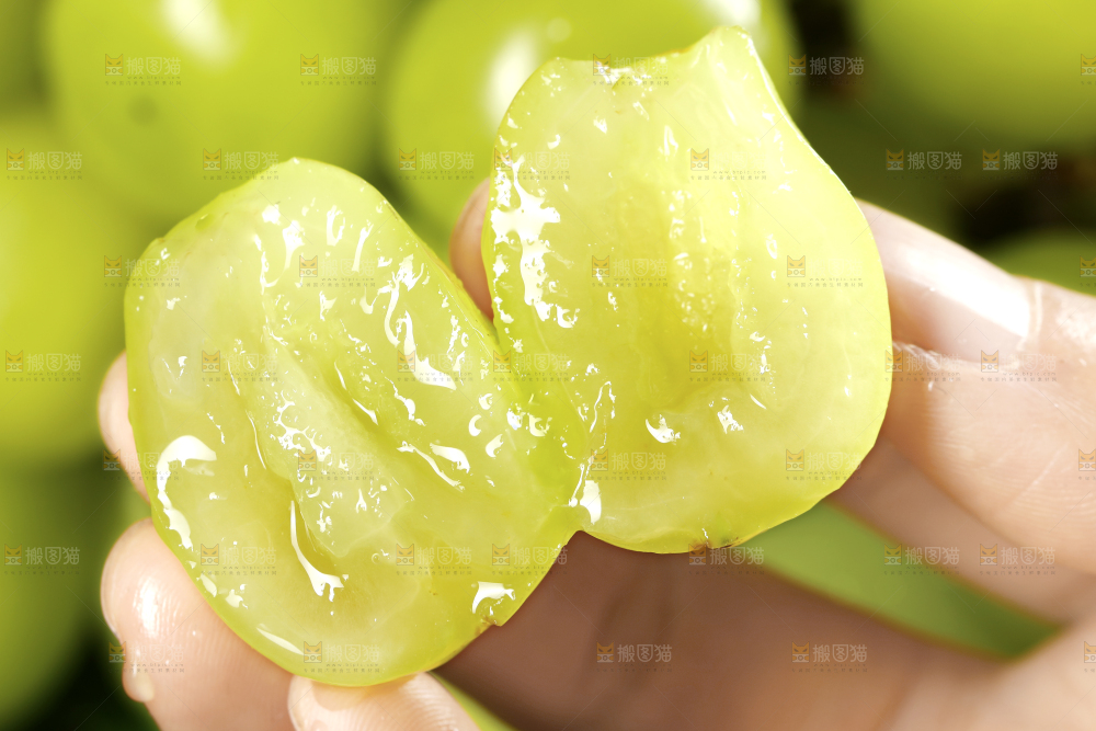 阳光玫瑰