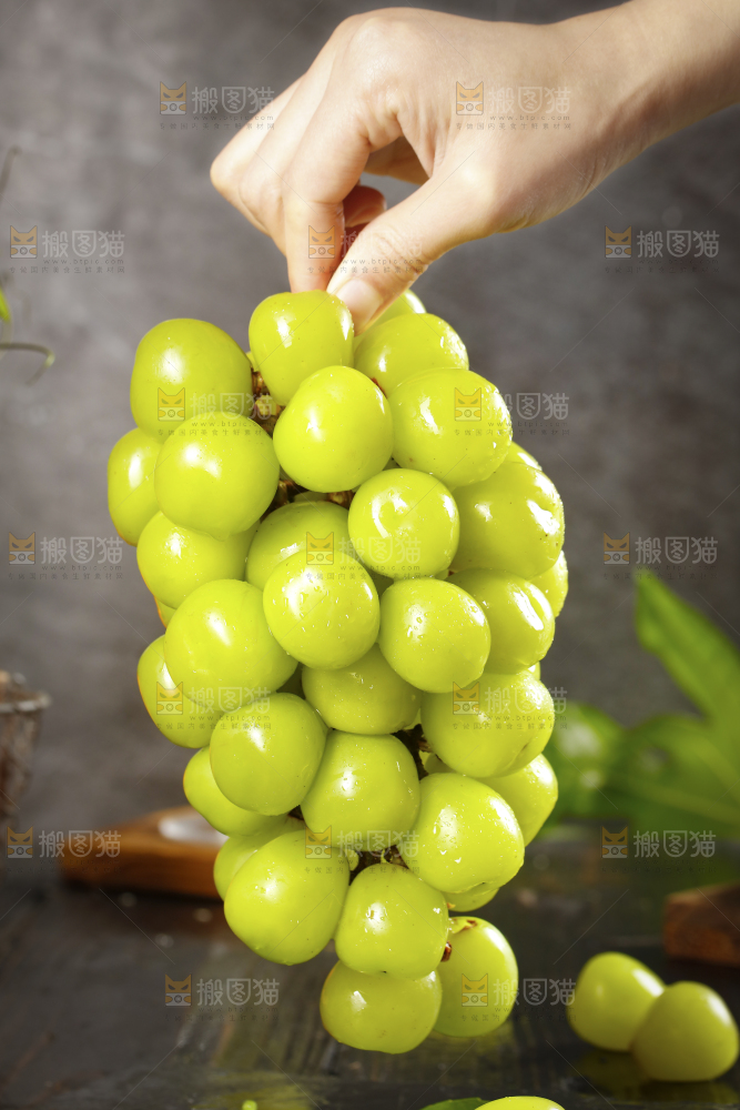 手拿一串阳光玫瑰