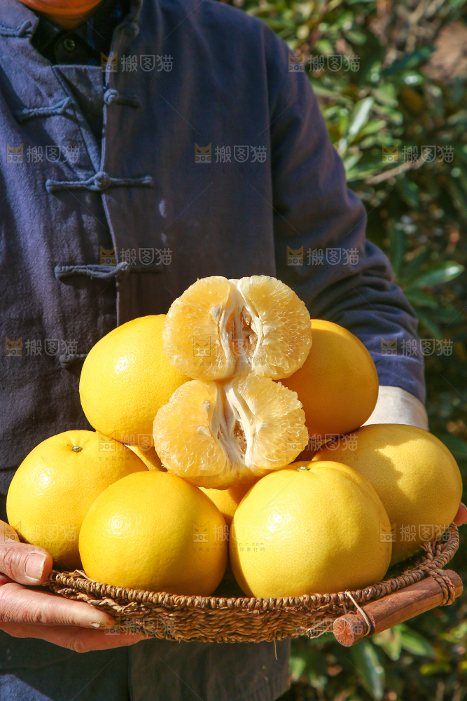 手里端着一篮新鲜黄金葡萄柚