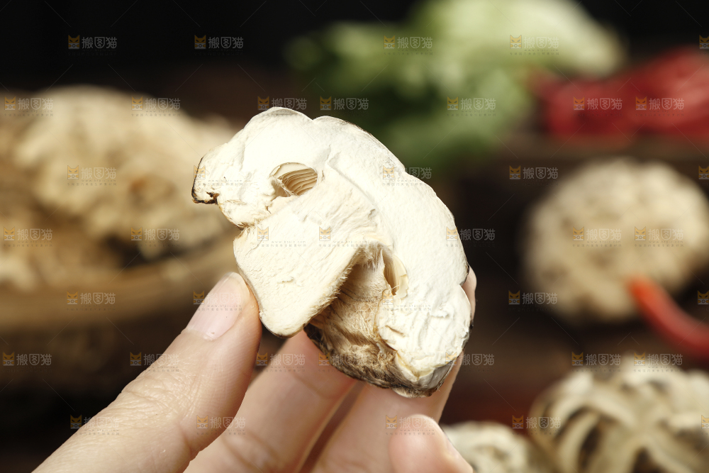 手里拿着花菇
