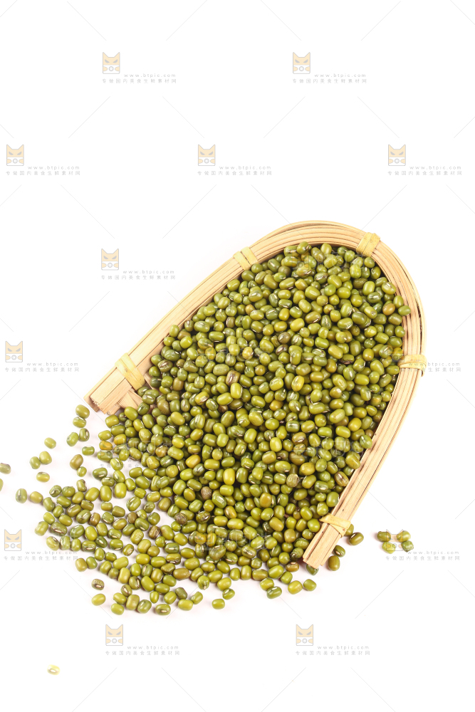 白底上的东北绿小豆