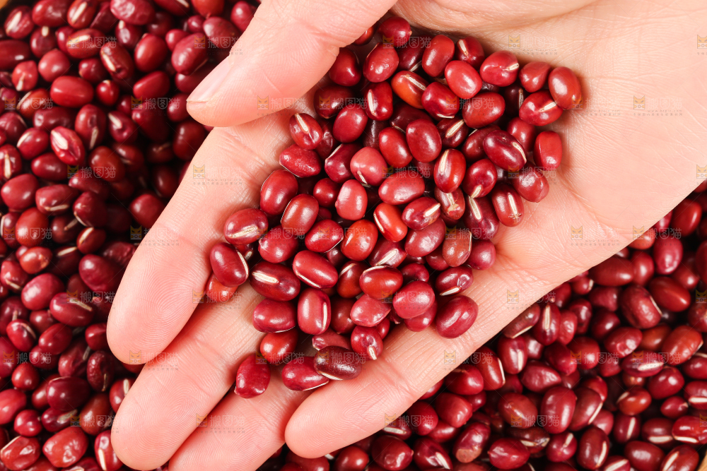 东北红豆纹理