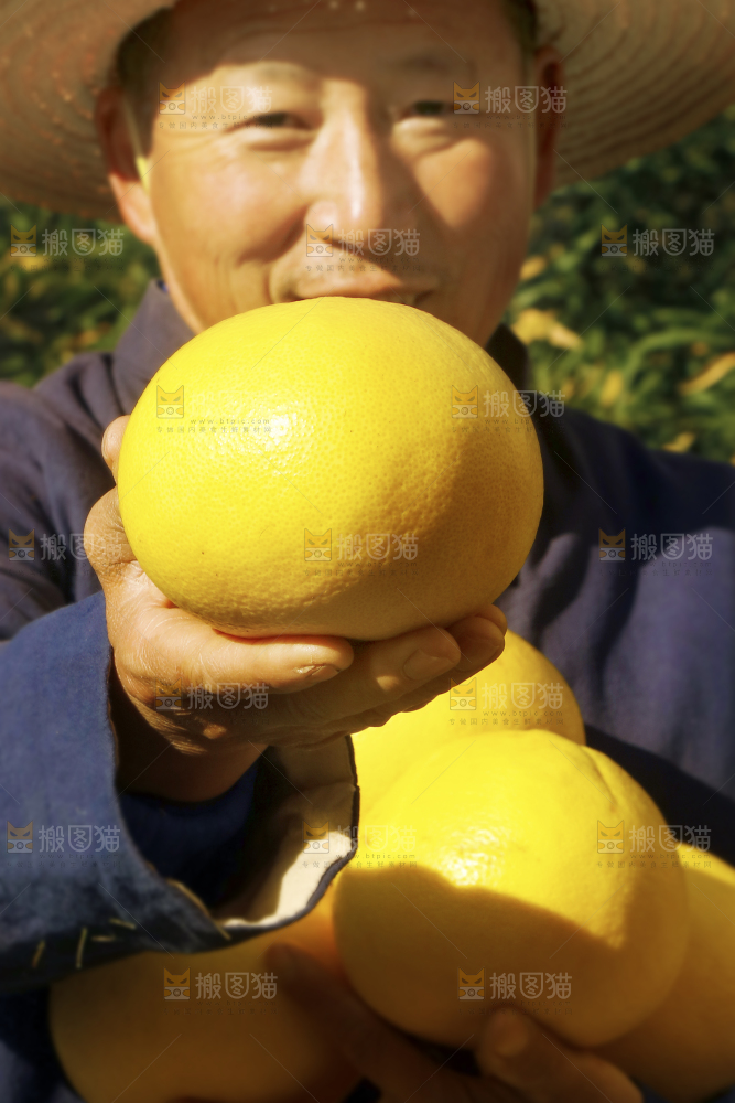 农民手里拿着新鲜葡萄柚