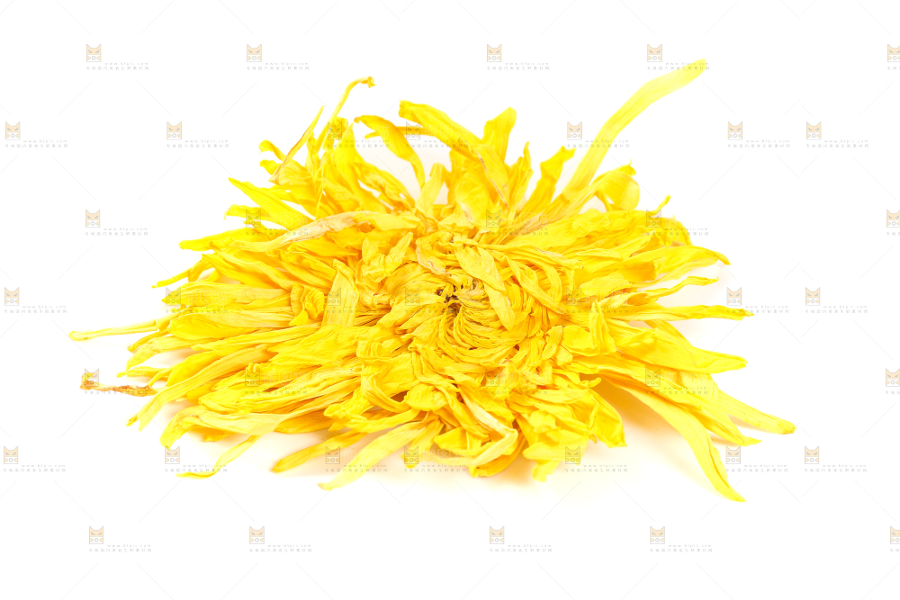 白底上放着贡菊