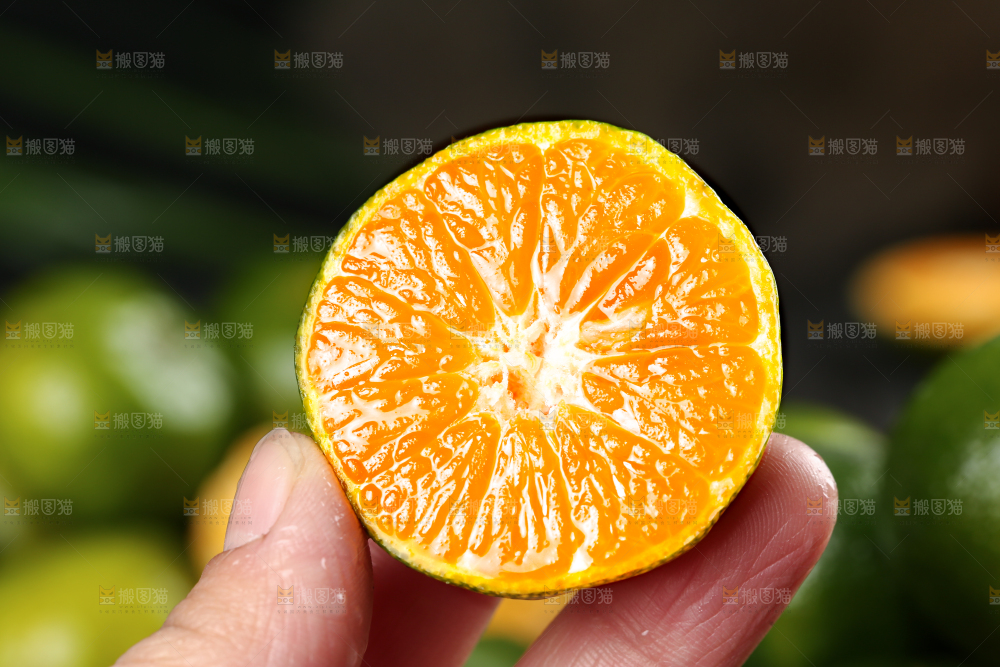 手里拿着清香蜜桔