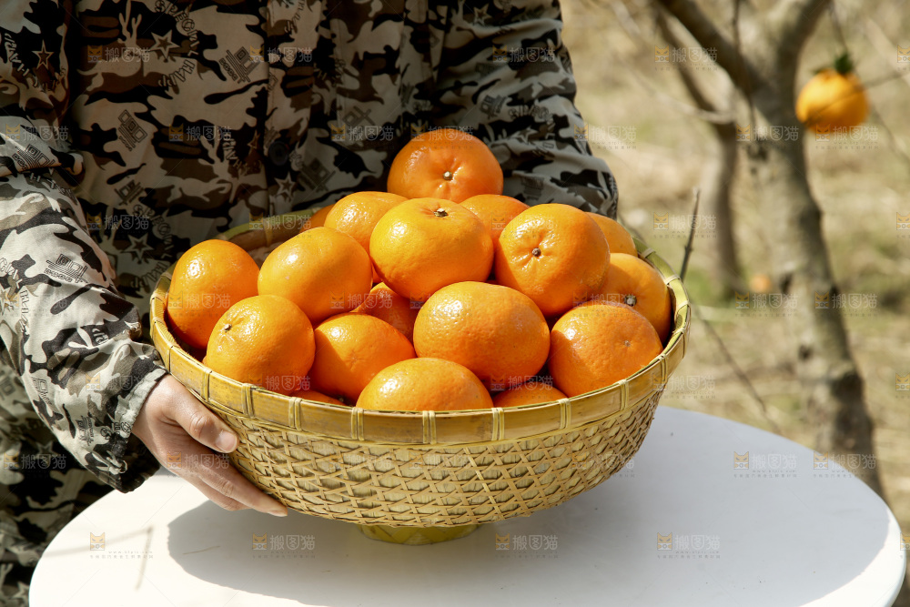 手里端着一篮沃柑