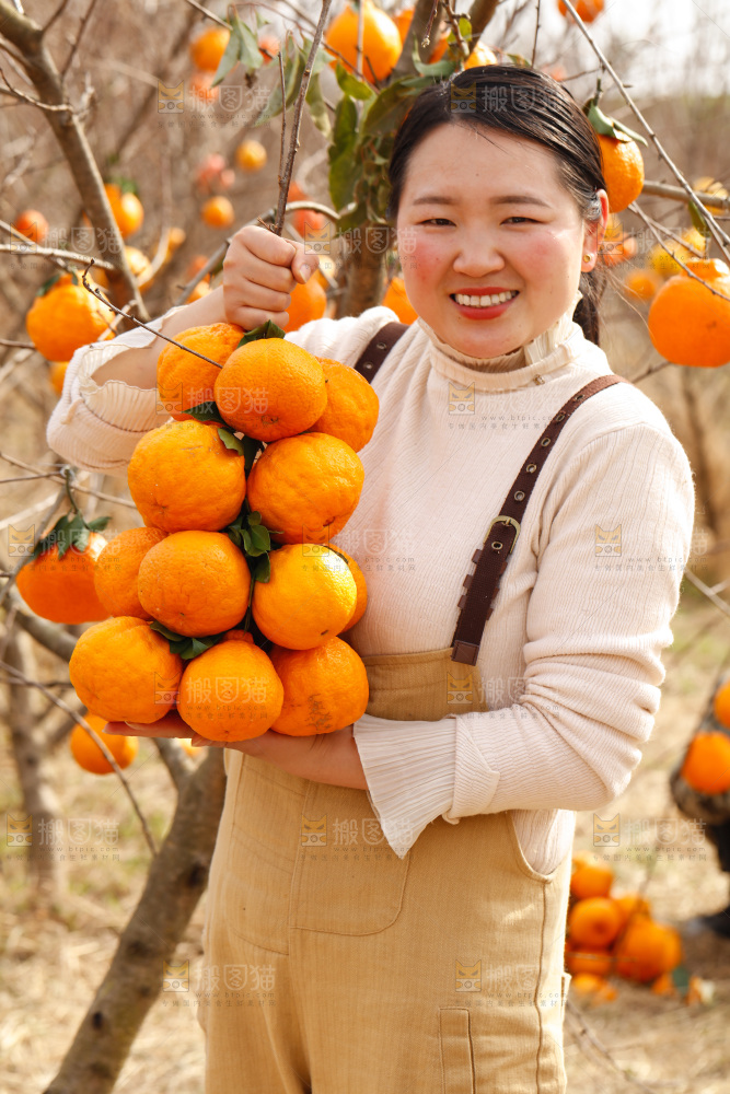 果园女人手里拿着一串丑橘
