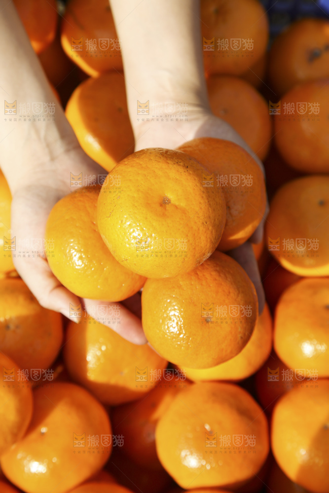 手里捧着广西沃柑