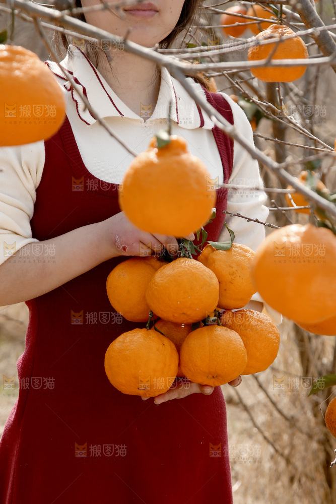 手里抱着丑橘