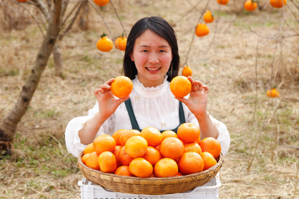果园女孩手里拿着广西沃柑