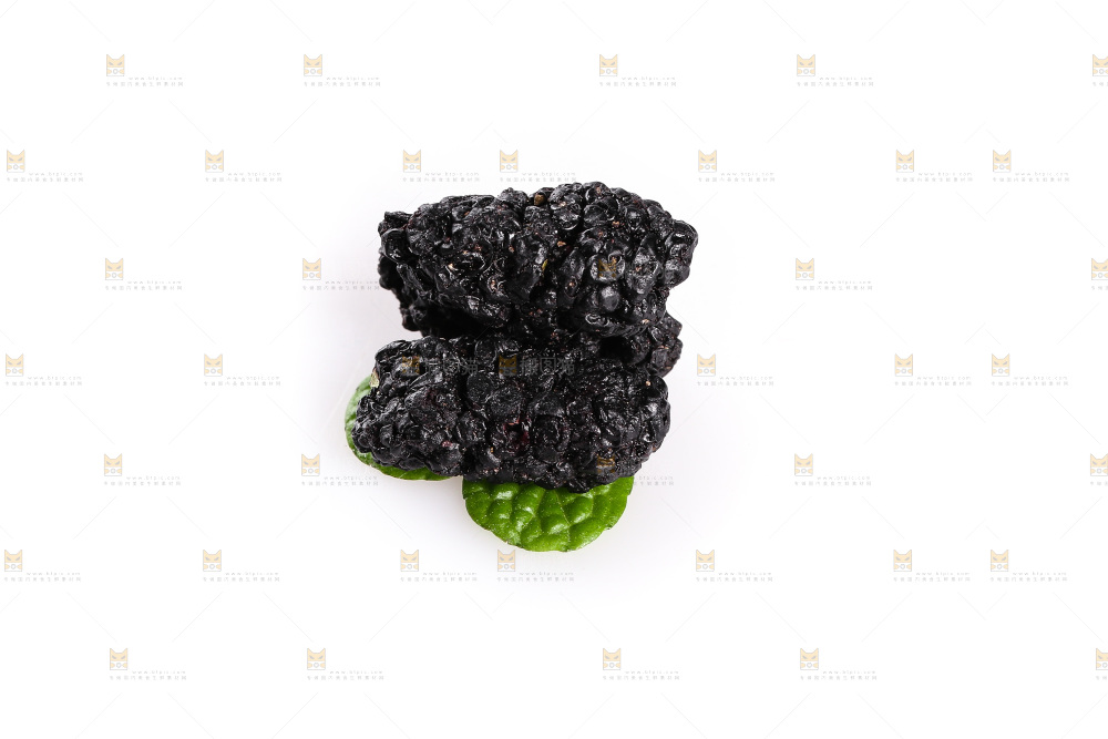 白底上的黑桑葚干