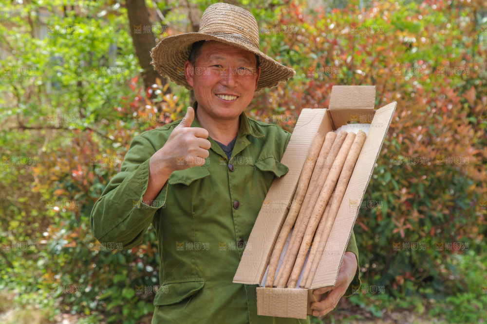 农民手里抱着一箱牛蒡根