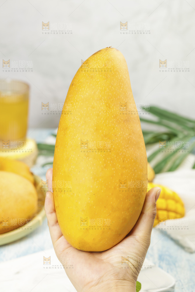 手里拿着大金煌芒