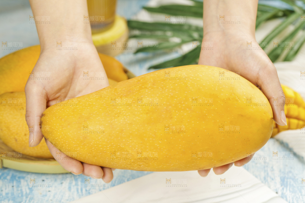 手里拿着大金煌芒