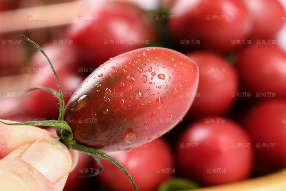 手里拿着小番茄
