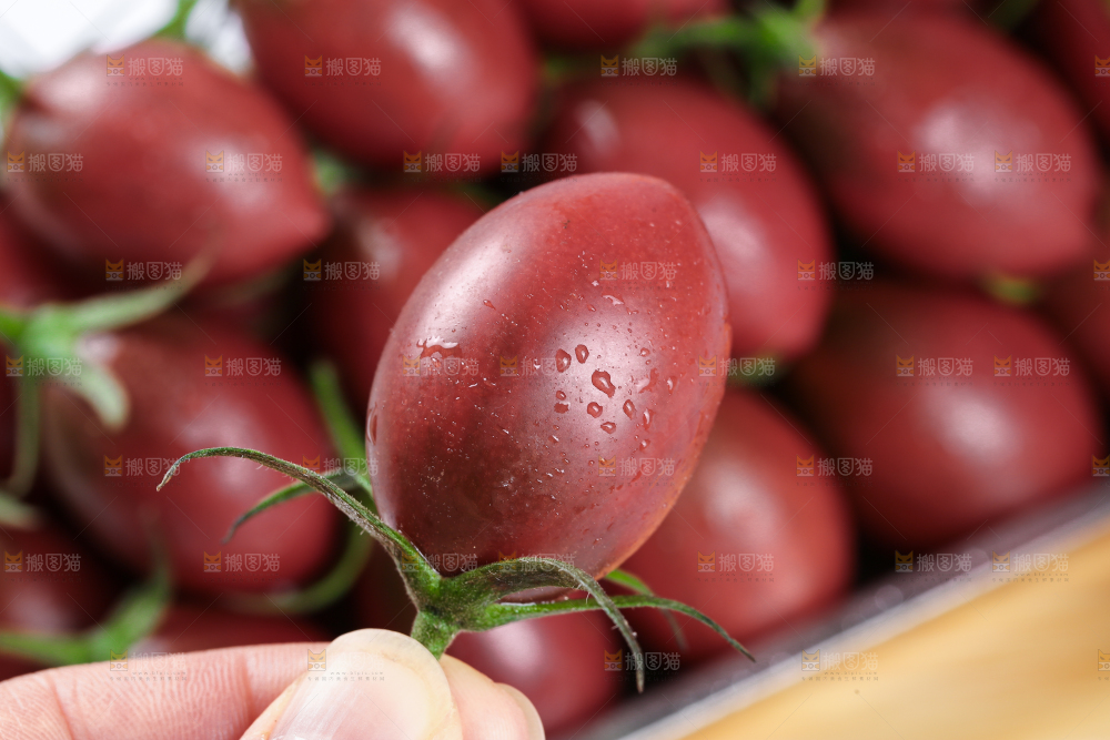 子弹头小番茄