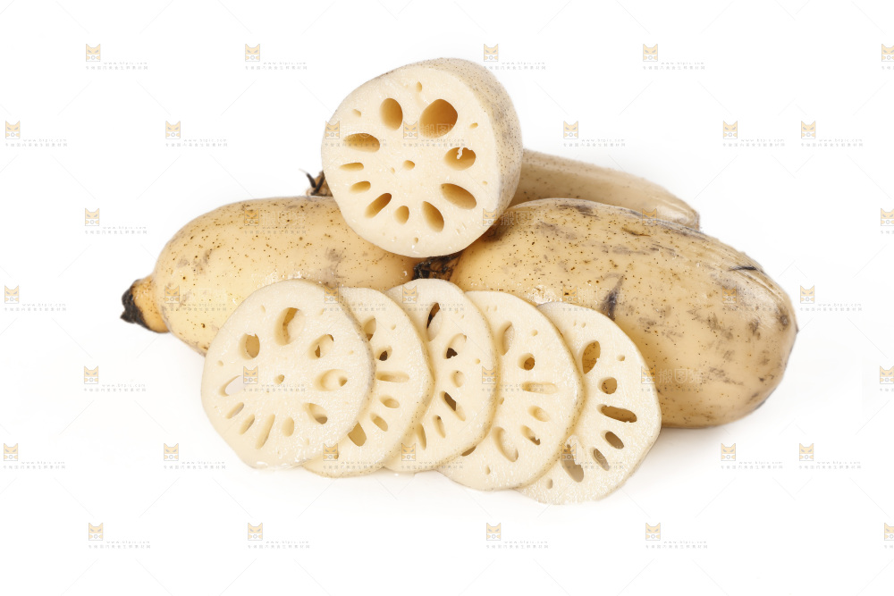 白底上的洪湖莲藕