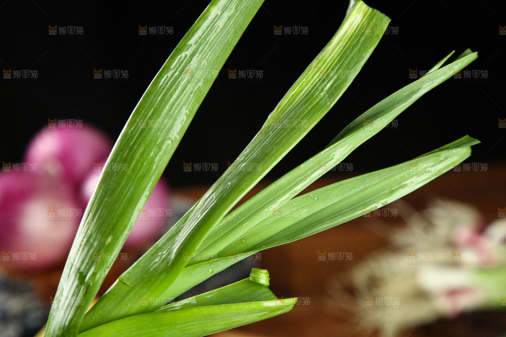 新鲜的蒜苗