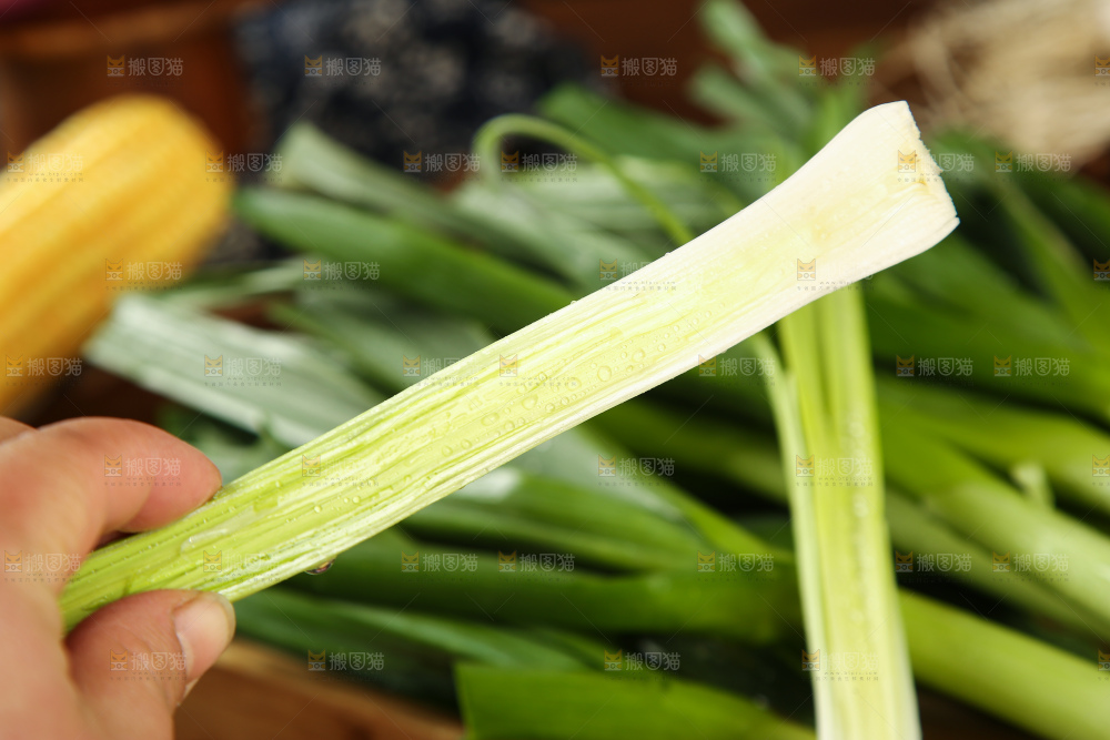 手里拿着蒜苗