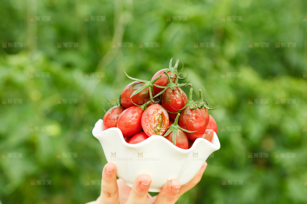 碟子里装着珍珠小番茄