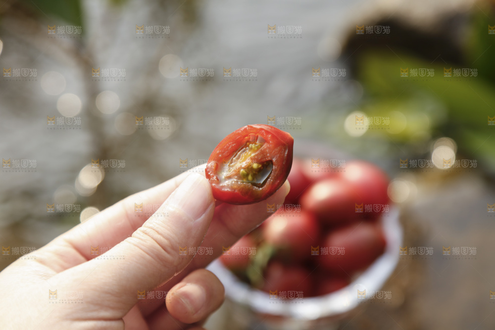 手里拿着珍珠小番茄