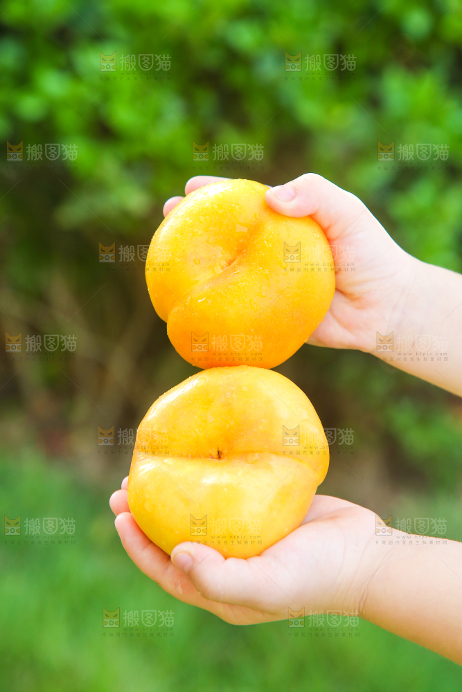 手拿着的黄金蟠桃